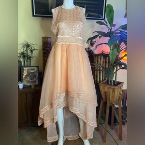 Coquette cottage core tiered tulle Lolita princess fantasy evening gown dress